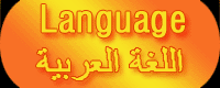 Arabic阿拉伯语
